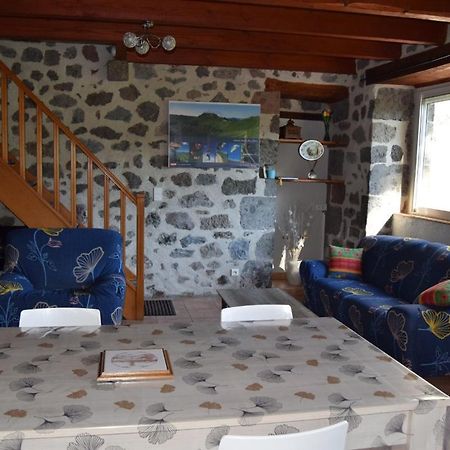 Gite 4 Personnes Dans Le Cantal Animaux Bienvenus Lascelle Zewnętrze zdjęcie