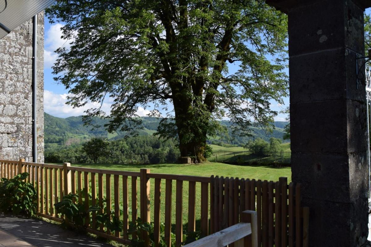 Gite 4 Personnes Dans Le Cantal Animaux Bienvenus Lascelle Zewnętrze zdjęcie